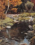 Partie am Fluss ngl 170.278