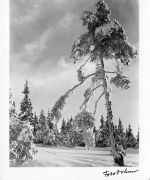 Winterlandschaft ngl 170.531