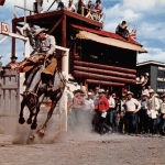 Canada Calgary Bronc Riding at the Stampede gl1968 164.214