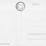 Insel Mainau (Bodensee) Phoenix-Palme ngl 170.980