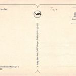Fuchswelpen am Bau ngl 171.088