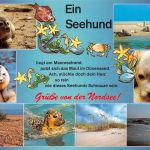 Seehund ngl 171.090