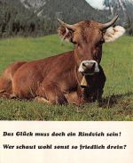 Eine Kuh ngl 171.138