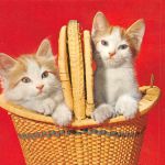 Zwei Katzen im Korb ngl 171.144