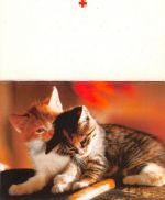 Zwei Katzen: Klappkarte ngl 171.145