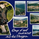 Coup d'oeil indiscret sur les Vosges ngl E3798