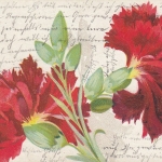 Rote Nelken gl1905 E3930