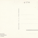 Wiesenblumen ngl E3936