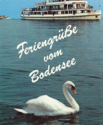 Schwan vor MS Schwaben im Bodensee ngl E3956