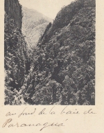 E.F.Paranaguá, Coritina, Valle do Rio Ipiranga ngl E4029