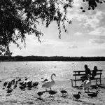 Werder/Havel Glindower See am Zeltplatz Riegelspitze gl1979 172.086