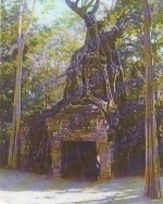 Cambodia, Roots on the tower gate of Tasow Temple Siemreap ngl E4569