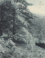 Neujahr-Wünsche mit Winterwald gl1907 E5629