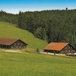 Alpe Wenger Egg bei Wengen im Allgäu ngl E5652