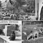 Stendal Tiergarten gl1985 173.278