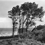 Ahrenshoop Häuser am Meer gl1971 173.915