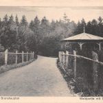 Brunshaupten Waldpartie mit Schutzhalle ngl 174.338