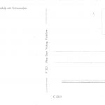 Potsdam Stadtschloss mit Kolonaden ngl 174.433