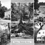 Buckow (Märk. Schweiz) Mehrbildkarte ngl 174.451