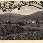 Gimmeldingen a.d.W. Panorama ngl 174.484