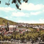St. Martin a. d. Weinstraße Panorama gl1967 174.494