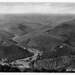 Waldkatzenbach i. Odw. Blick vom Katzenbuckel ngl 174.496