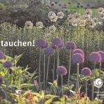 Hamburg Internationale Gartenschau 2013 ngl 174.978