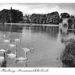 Hamburg-Harburg Aussenmühlenteich gl1957 174.984