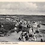 Burg auf Fehmarn Badeleben gl1953 176.147