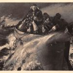 HDK 534 Rich. Schreiber, Nach der Geleitzugschlacht gl1944 176.367