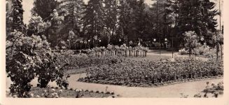 Sangerhausen Rosarium gl1958 177.330