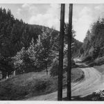 Friedrichroda Partie im Grund gl1938 178.815