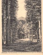 Eisenach Der Durchblick von der Hohen Sonne ngl 180.648