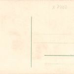 Altenburg S.-A. Herzogliches Schloß mit Siegesdenkmal ngl 180.782
