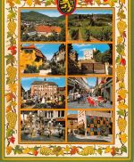 Neustadt an der Weinstraße Mehrbildkarte ngl 181.393