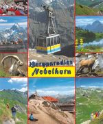 Oberstdorf Nebelhorn Mehrbildkarte ngl 181.403