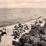 Poel Schwarzer Busch ngl 181.953