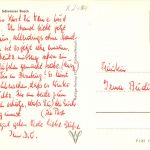 Poel Schwarzer Busch ngl 181.953