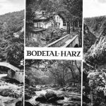 Thale (Harz) Bodetal Mehrbildkarte ngl 182.026