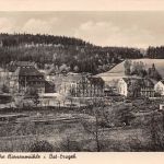 Bienenmühle Gesamtansicht gl1955 182.263