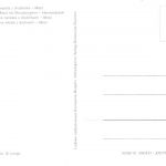 Spreewald Niedersorbische Braut mit Brautjungfern ngl 182.405