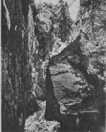 Heuscheuer Rübezahl´s Garten ngl 182.440