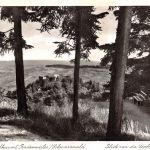 Badenweiler Blick von der Sophienruhe gl1986 182.564