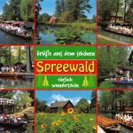 Spreewald Mehrbildkarte ngl 182.607