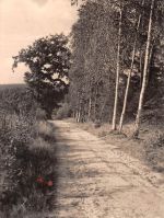 Bad Klosterlausnitz Waldweg gl1965 184.158