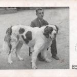 Leipzig Werner Mehnert Deutschlandlauf mit Hund Foto ngl 185.268