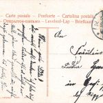 Leipzig Pfaffendorfer Straße mit Zoo und Michaelis-Kirche gl1908 185.635