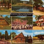 Undeloh, Lüneburger Heide, Naturschutzpark, Mehrbildkarte ngl 185.715