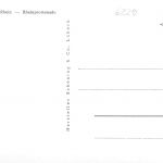 Rüdesheim a. Rhein Rheinpromenade ngl 186.645