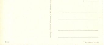 Erfurt Augustinerkircher Grabplatten ngl 186.747